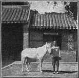 Cmg098b.jpg